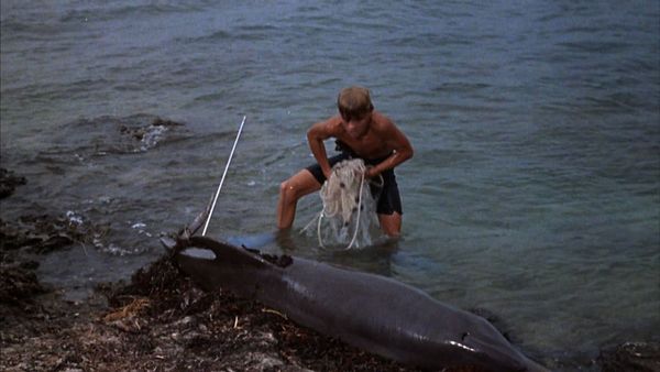 Flipper - Flipper's Odyssey - Part II