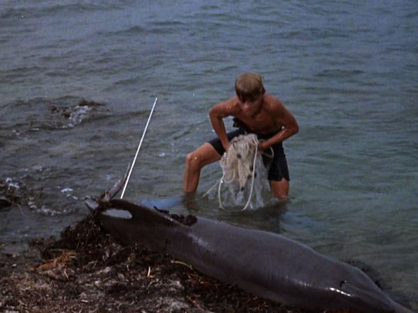 Flipper - Flipper's Odyssey - Part II