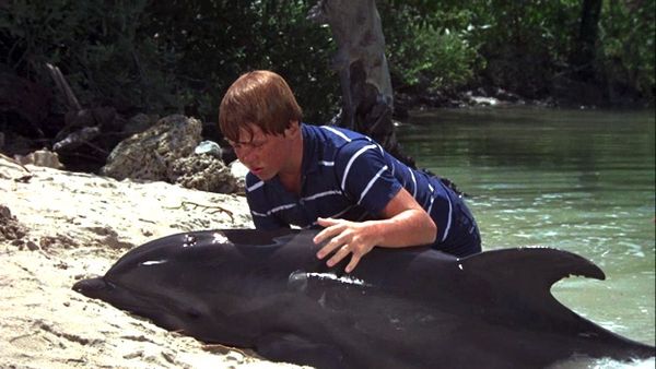 Flipper - Coral Fever