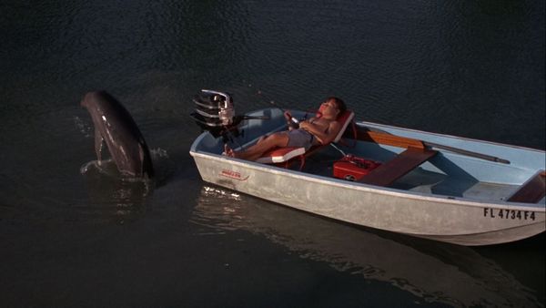 Flipper - Lobster Trap