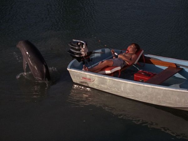 Flipper - Lobster Trap