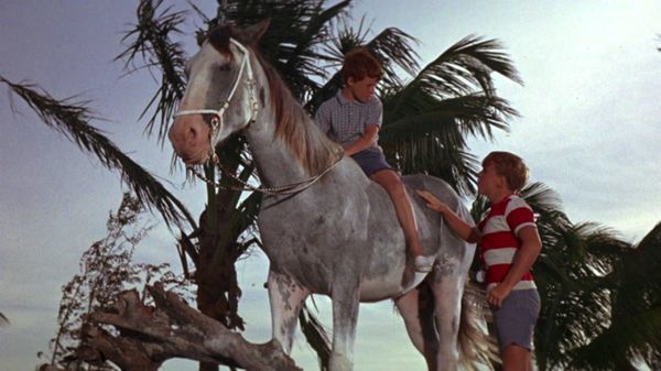 Flipper - Flipper And The Horse Thieves