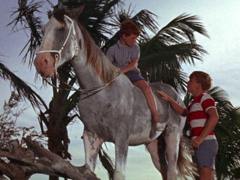 Flipper - Flipper And The Horse Thieves