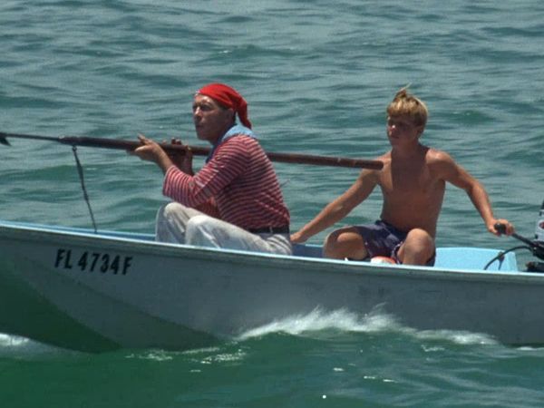 Flipper - Whale Ahoy