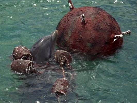 Flipper - Flipper's Hour Of Peril