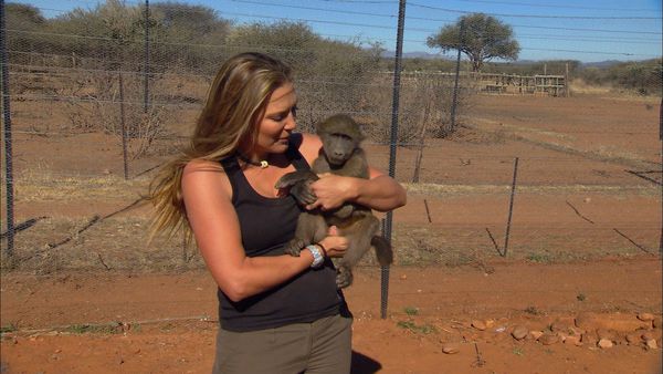 Wild Animal Orphans - Newborn
