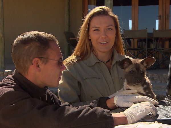 Wild Animal Orphans - Painted Pups