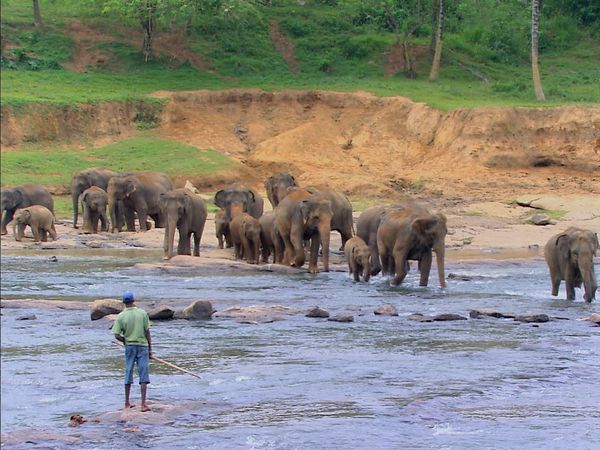 Green Paradise - Sri Lanka: The Emerald Isle