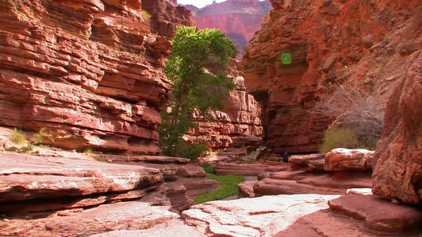 Best Parks Ever - Best Freaks of Nature