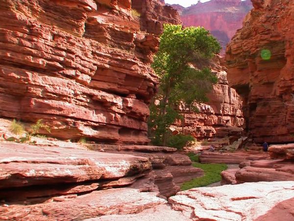 Best Parks Ever - Best Freaks of Nature