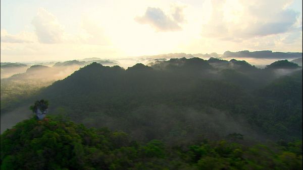 Green Paradise - Belize- Jungle and Coral