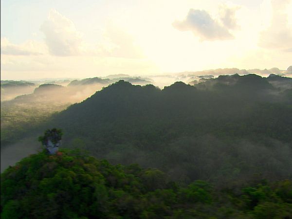 Green Paradise - Belize- Jungle and Coral