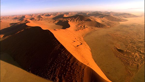 Green Paradise - Namibia- Fauna and Sands