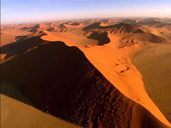 Green Paradise - Namibia- Fauna and Sands