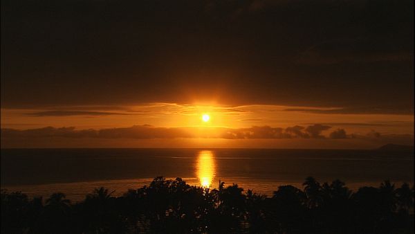 Green Paradise - Fiji- Island Flavours