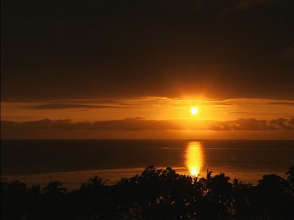 Green Paradise - Fiji- Island Flavours