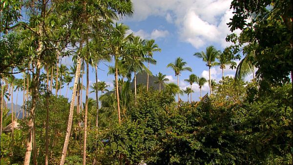 Green Paradise - Philippines- The Unexplored Archipelago