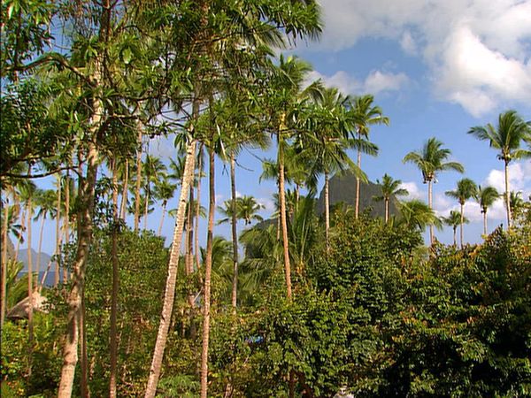 Green Paradise - Philippines- The Unexplored Archipelago