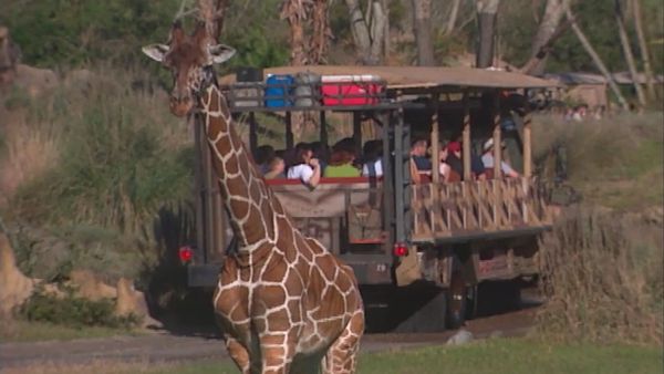 Disney Parks: The Secrets, Stories, and Magic Behind the Scenes - Disney's Animal Kingdom