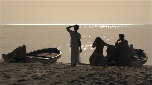 Green Paradise - Oman - Happy Arabia