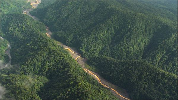 Green Paradise - Costa Rica - A Pure Nature