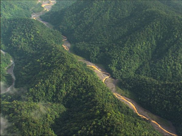 Green Paradise - Costa Rica - A Pure Nature