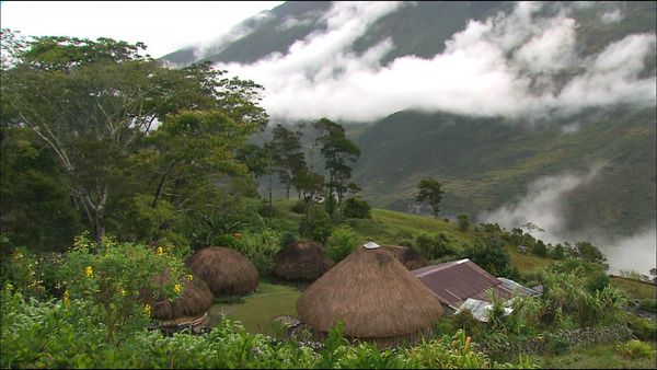 Green Paradise - Indonesia - The Wild Isles