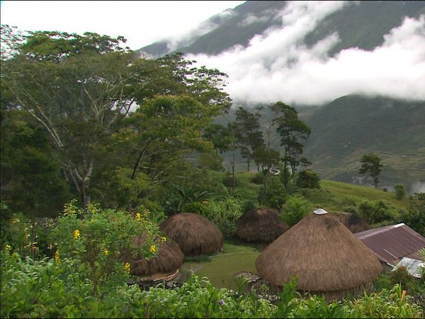 Green Paradise - Indonesia - The Wild Isles