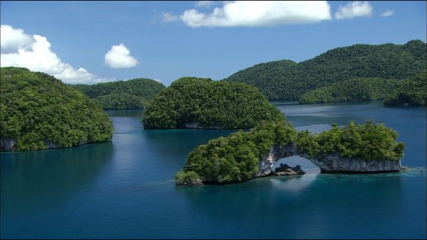 Green Paradise - Palau - The Coral Republic