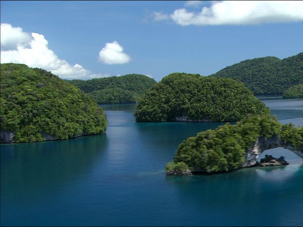 Green Paradise - Palau - The Coral Republic