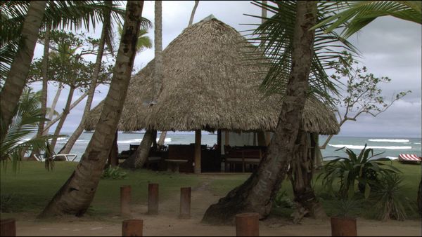 Green Paradise - Dominican Republic - Caribbean Treasure