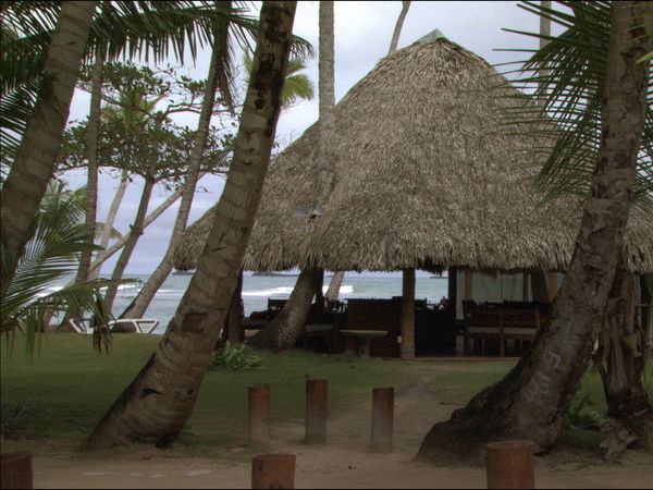 Green Paradise - Dominican Republic - Caribbean Treasure