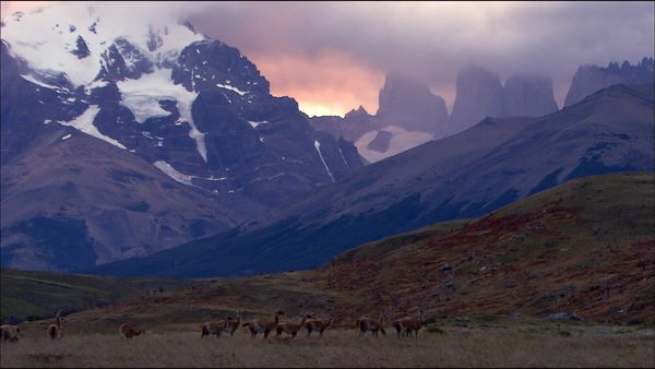 Green Paradise - Chile - In a Gentle and Savage Land
