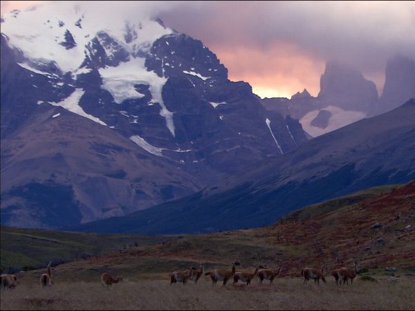 Green Paradise - Chile - In a Gentle and Savage Land
