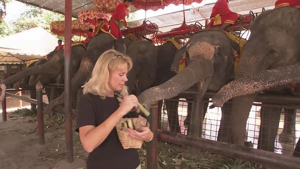 Laura McKenzie's Traveler - Wonders of Asia