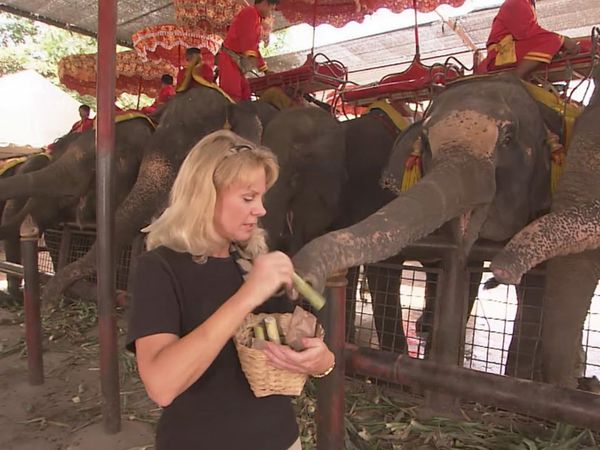 Laura McKenzie's Traveler - Wonders of Asia