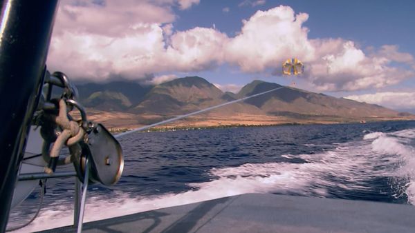 Laura McKenzie's Traveler - Hawaiian Dreams