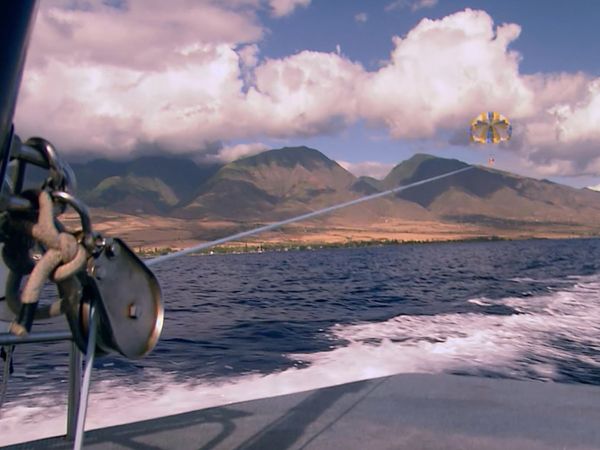 Laura McKenzie's Traveler - Hawaiian Dreams