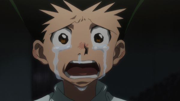 HUNTERxHUNTER - Chairman x And x Release