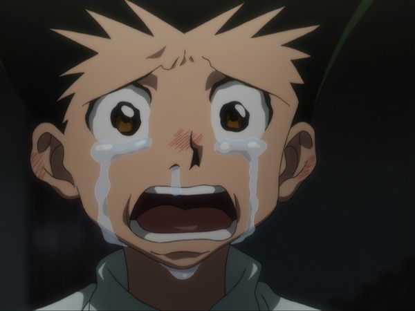HUNTERxHUNTER - Chairman x And x Release