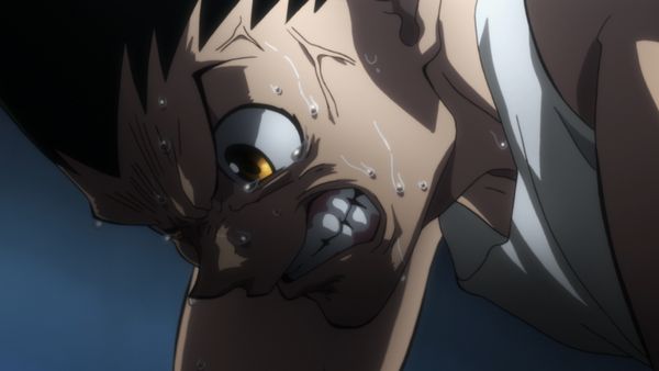 HUNTERxHUNTER - Revenge x And x Recovery