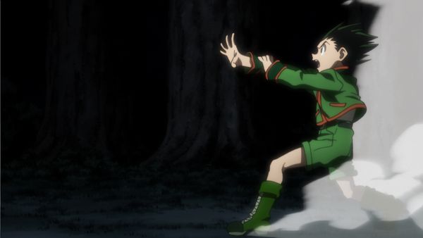 HUNTERxHUNTER - Combination x And x Evolution