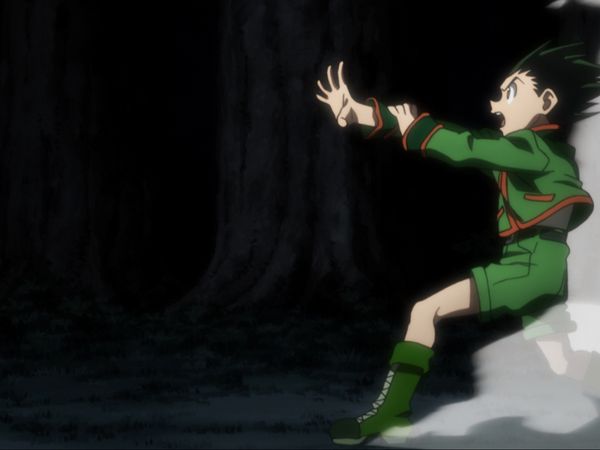 HUNTERxHUNTER - Combination x And x Evolution