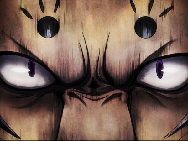 HUNTERxHUNTER - Inspiration x To x Evolve