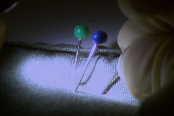 The New Detectives - Predators And Parasites