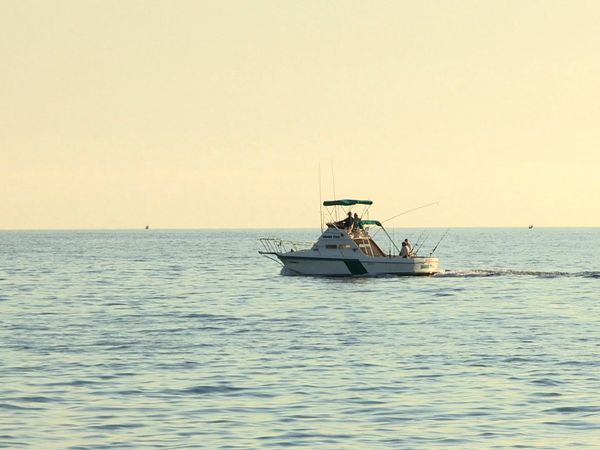Anglers Digest - East Cape