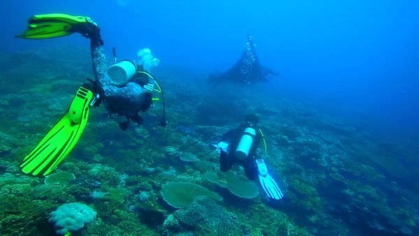Anglers Digest - Fiji