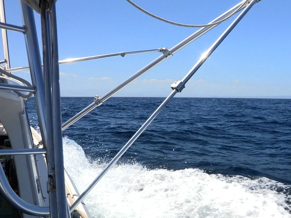 Anglers Digest - San Jose Del Cabo