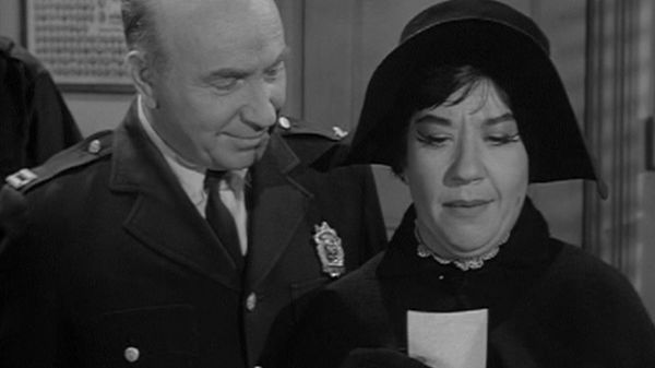 Car 54, Where Are You? - The Loves of Sylvia Schnauser