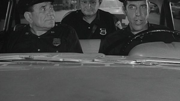 Car 54, Where Are You? - Schnauser's Last Ride